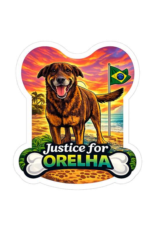 Orelhas’ Beach Forever